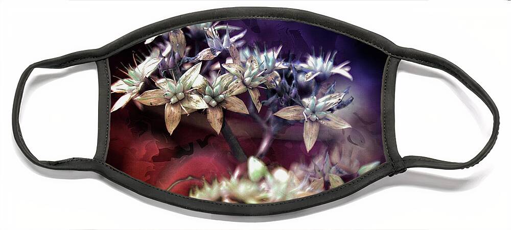 Beauty Face Mask featuring the photograph Artistic Abstract Flowers by Michelle Liebenberg
