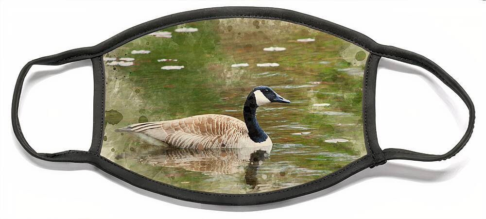 Canada Goose Face Mask featuring the mixed media Canada Goose Watercolor Art by Christina Rollo