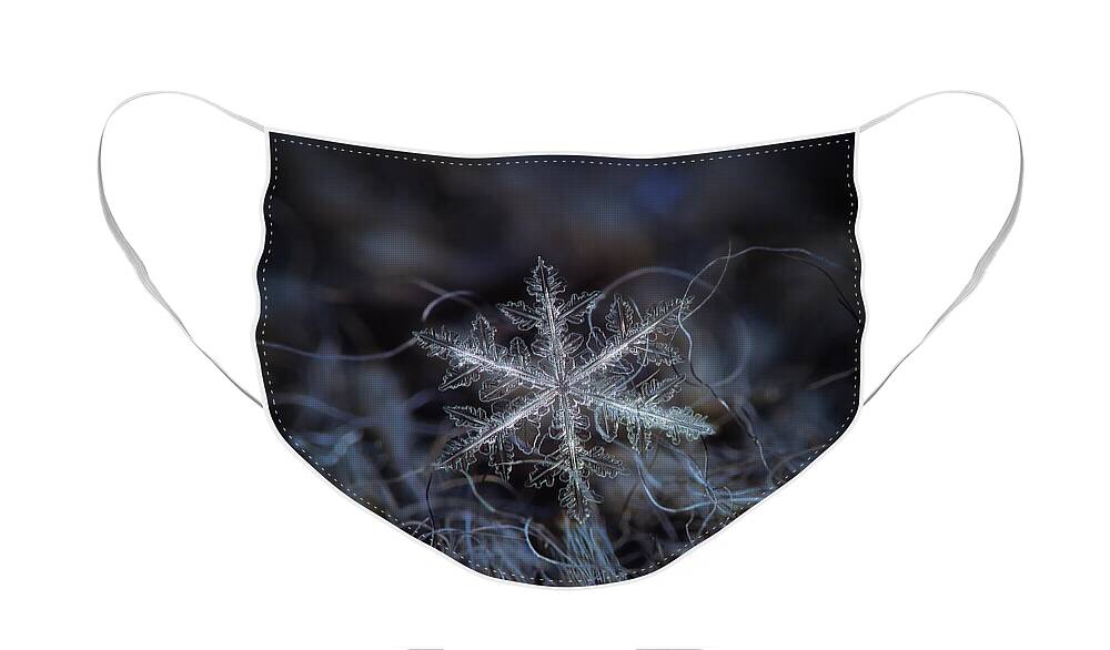 Snowflake Face Mask featuring the photograph Leaves of ice by Alexey Kljatov