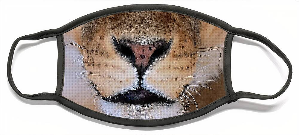Lioness Mask Face Mask featuring the photograph Lioness - Queen of a Pride  by OLena Art