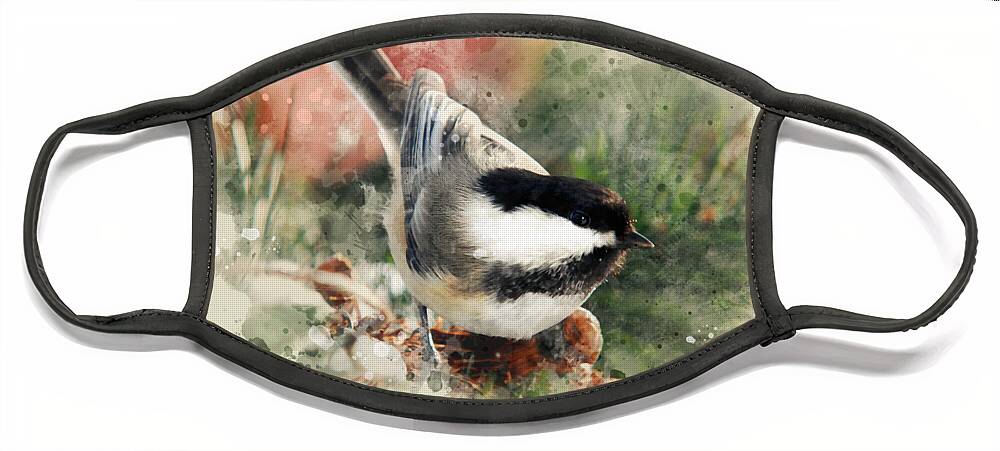 Chickadee Face Mask featuring the mixed media Beautiful Chickadee - Watercolor Art by Christina Rollo