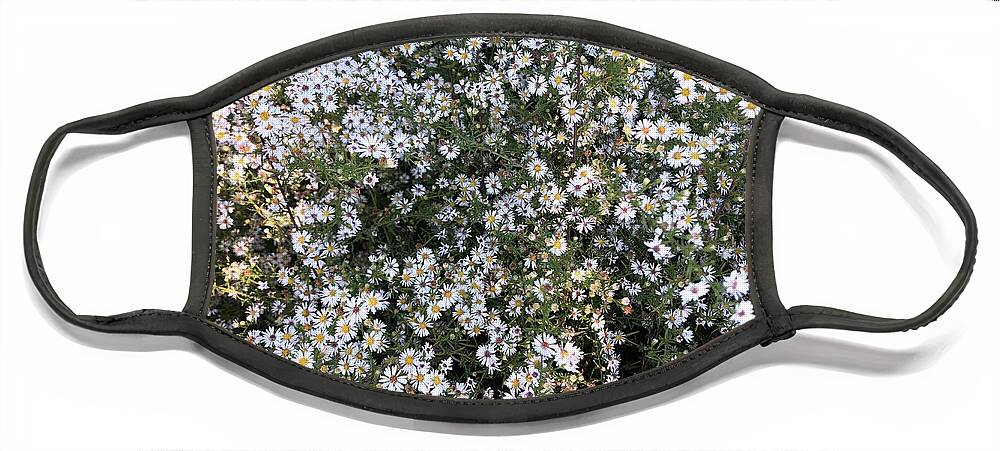 Asters Face Mask featuring the photograph Asters Wildflowers by Valerie Collins