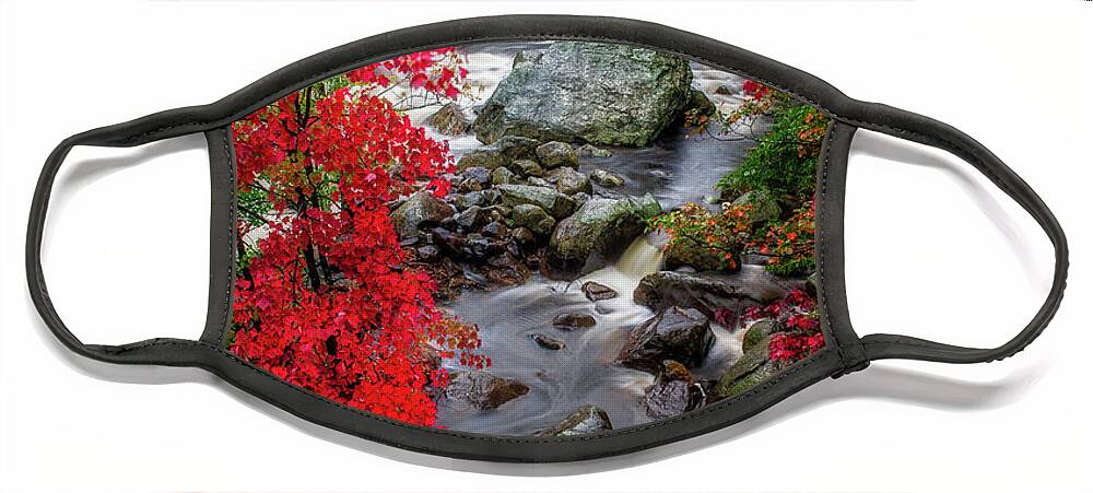 Waterfall Face Mask featuring the photograph Ausable River by Mark Papke