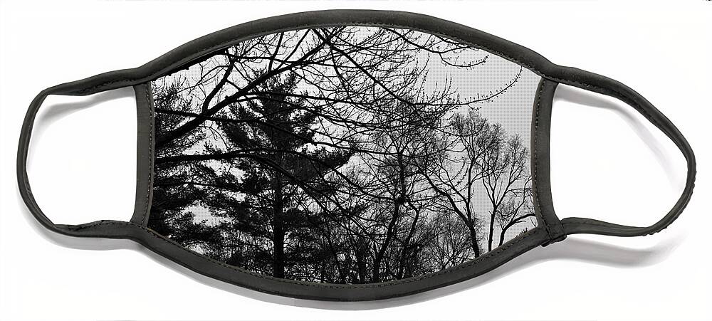 Landscape Face Mask featuring the photograph Authentic Expression - Black and White by Frank J Casella