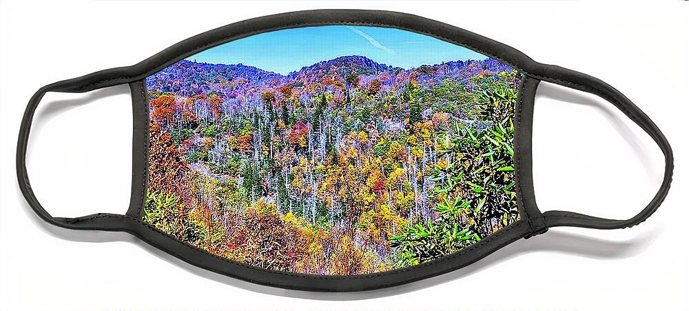 Autumn Face Mask featuring the photograph Autumn Colors by Allen Nice-Webb