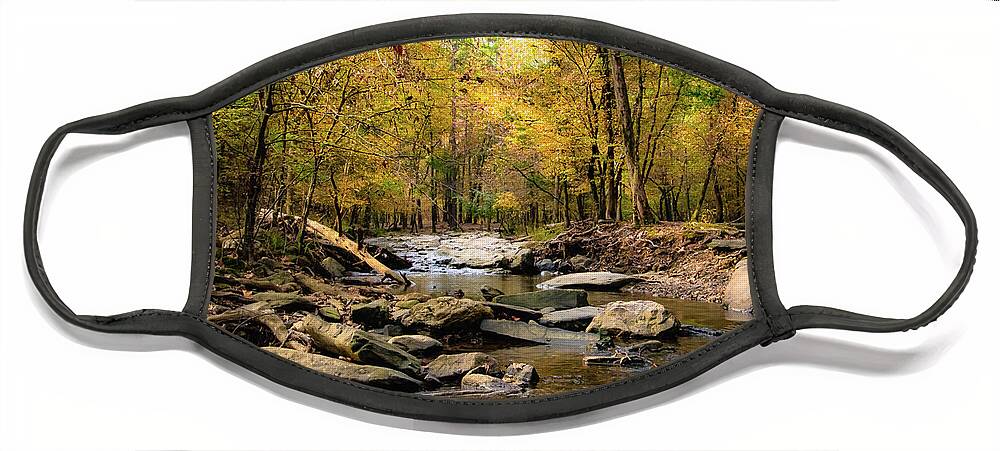 Creek Face Mask featuring the photograph Autumn Creek by Pam Rendall