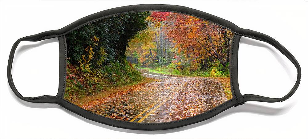 Carolina Face Mask featuring the photograph Autumn Drive II by Debra and Dave Vanderlaan