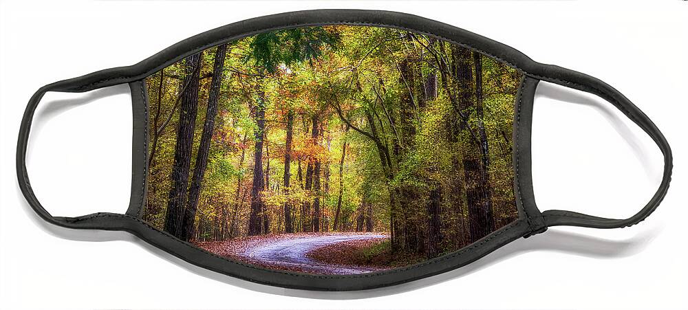 Autumn Face Mask featuring the photograph Autumn Drive by Susan Rissi Tregoning