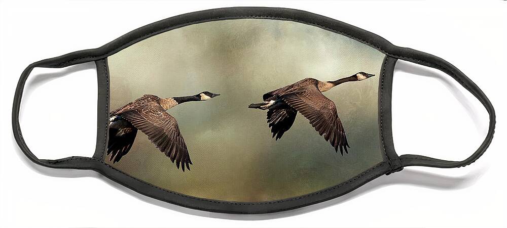 Autumn Face Mask featuring the photograph Autumn Geese by Al Mueller
