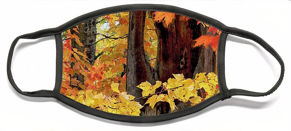 Northern Michigan Face Mask featuring the photograph Autumn in Northern Michigan by Peg Runyan