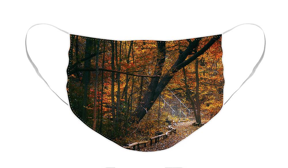 Fall Face Mask featuring the photograph Autumn in Riverside Park by Scott Norris