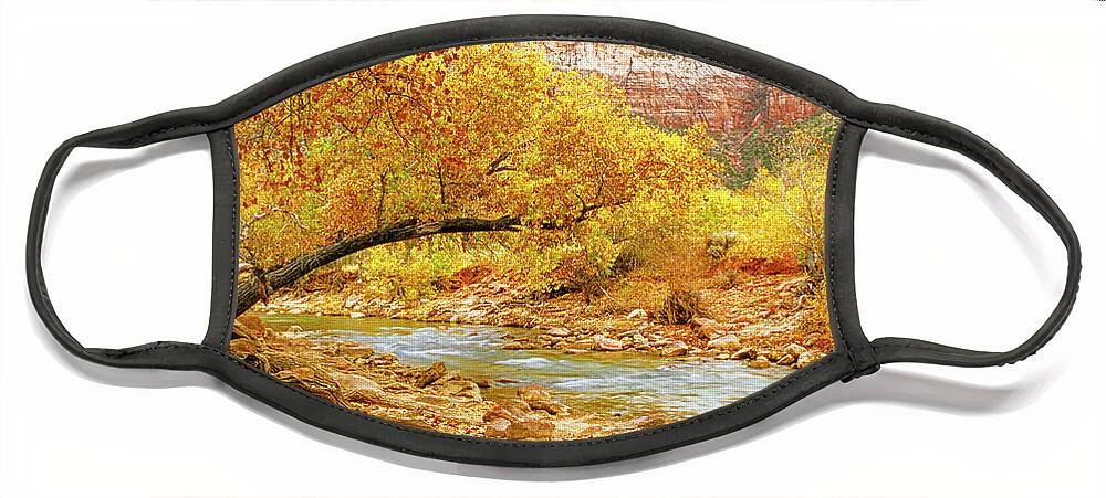Usa Face Mask featuring the photograph Autumn In Zion by Randy Bradley