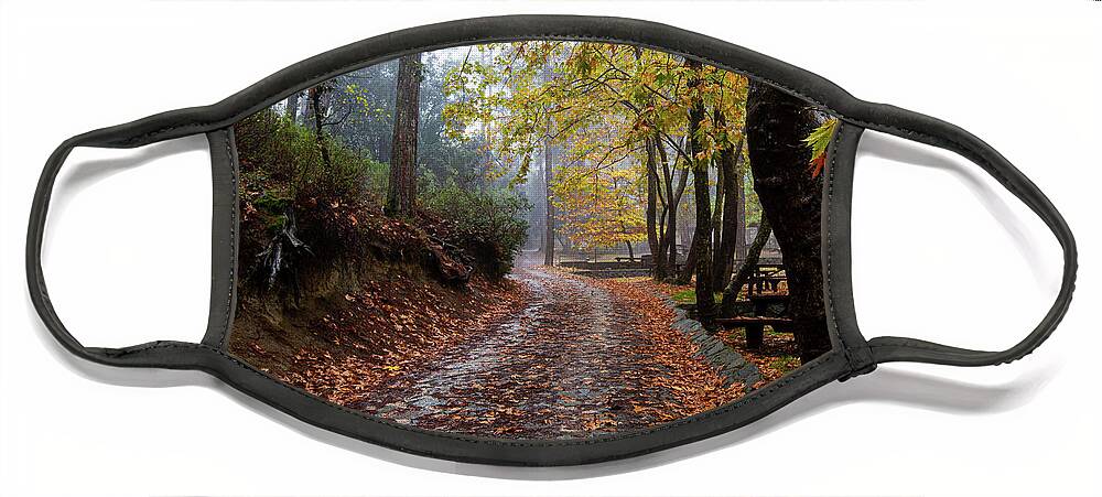 Autumn Face Mask featuring the photograph Autumn landscape with trees and Autumn leaves on the ground after rain by Michalakis Ppalis