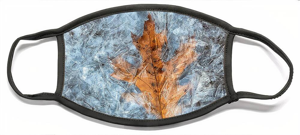 Autumn Face Mask featuring the photograph Autumn Leaf and Crackling Ice by Russel Considine