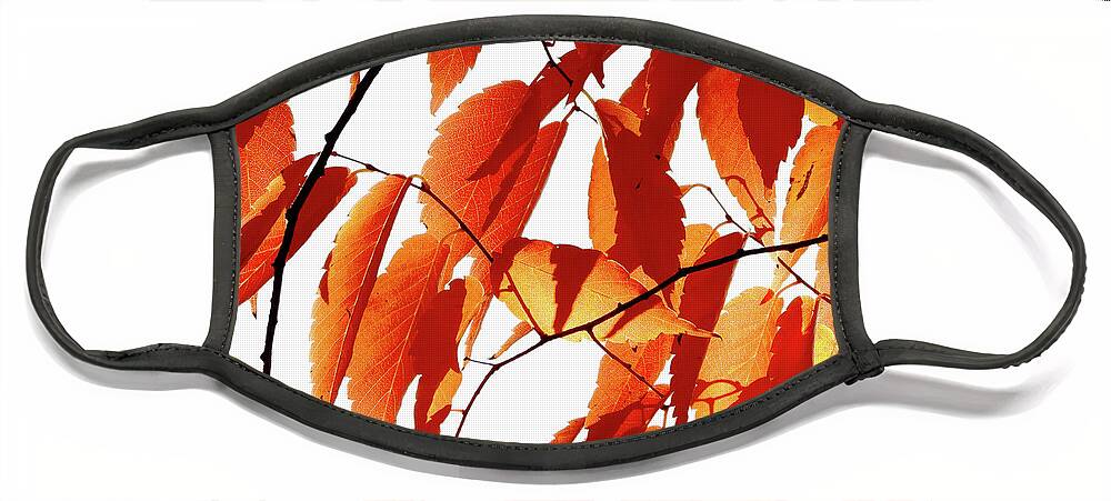 Shadow Face Mask featuring the photograph Autumn Leaves - Shadows and Light by Scott Cameron