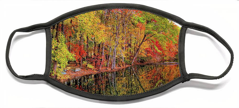 Leaves Face Mask featuring the photograph Autumn Mosaic Patterns by Ola Allen