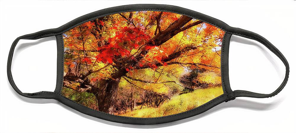 Fall Face Mask featuring the photograph Autumn Red Tree on a Blue Ridge Hill fx by Dan Carmichael