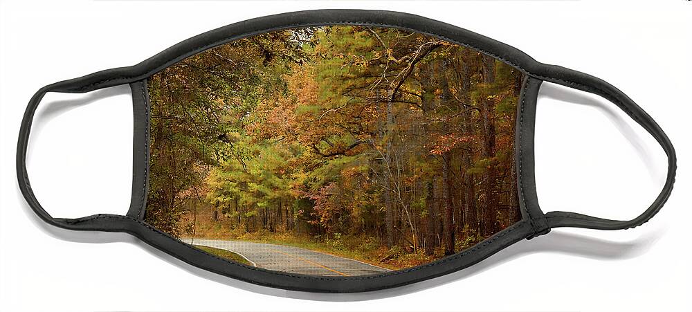 Arkansas Face Mask featuring the photograph Autumn Road by Lana Trussell
