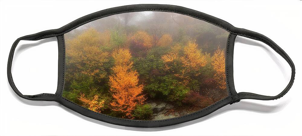 Fall Face Mask featuring the photograph Autumn Trees in Foggy Cliffs by Dan Carmichael
