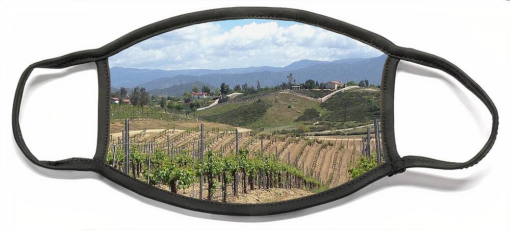 Avensole Face Mask featuring the photograph Avensole Vineyard Temecula by Roxy Rich