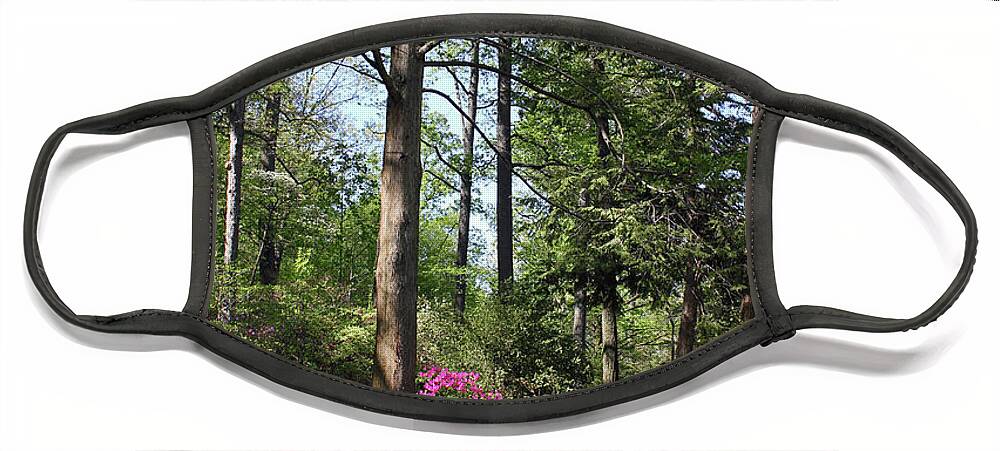 Arboretum Face Mask featuring the photograph Azaleas in the Garden by Carolyn Stagger Cokley