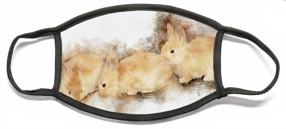 Rabbits Face Mask featuring the photograph Baby Bunnies - The Art of Cuteness by Peggy Collins