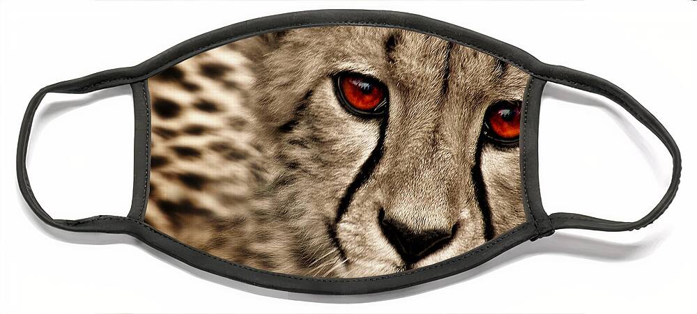 Baby Cheetah Face Mask featuring the photograph Baby Cheetah by Micki Findlay