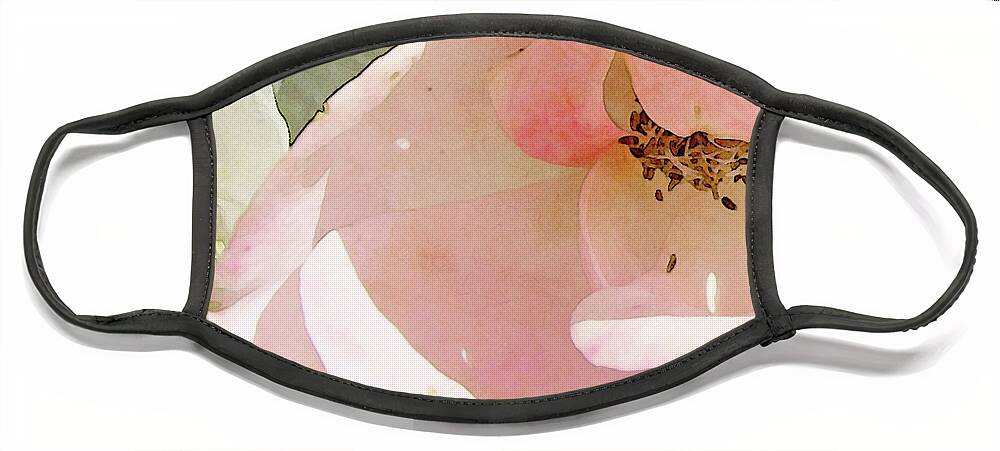 Rose Face Mask featuring the photograph Baby Pink Betty Pryor by Karen Lynch