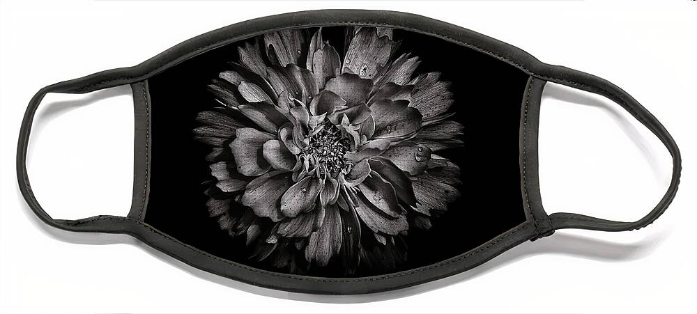 Brian Carson Face Mask featuring the photograph Backyard Flowers In Black And White 79 by Brian Carson