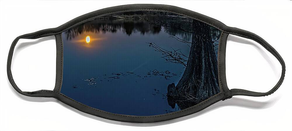 Night Face Mask featuring the photograph Bald Cyprus Tree Under Moon Light by Tom Watkins PVminer pixs