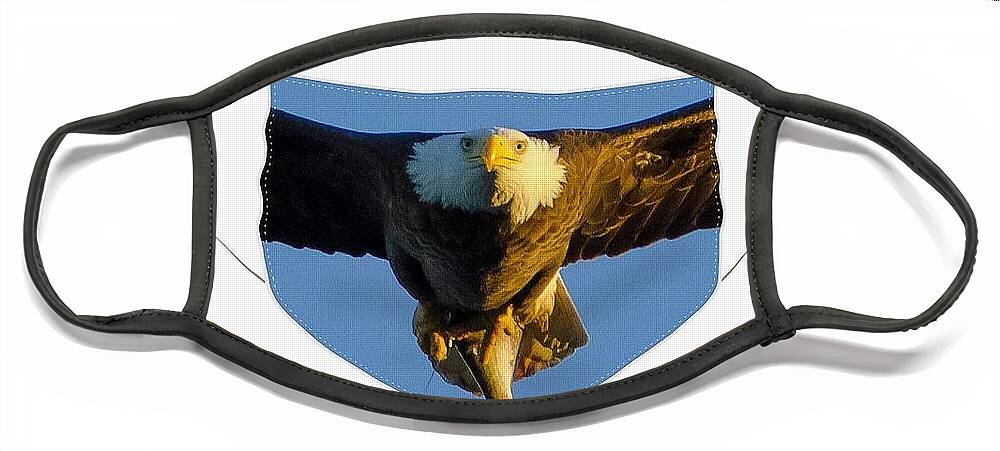 North American Bald Eagle Face Mask featuring the photograph Bald Eagle Face Mask with Fish by Jeff at JSJ Photography