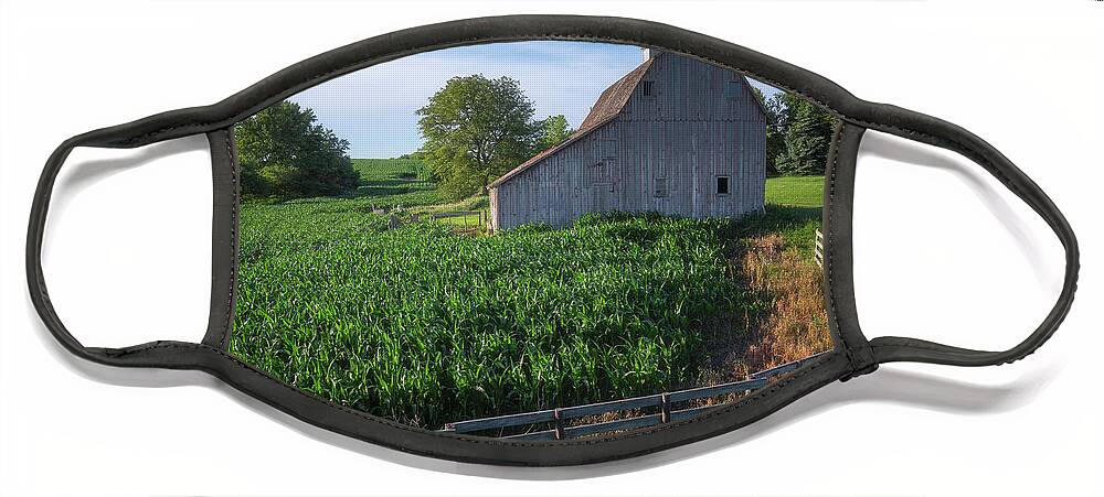 Iowa Face Mask featuring the photograph Barn and Corn by Darren White