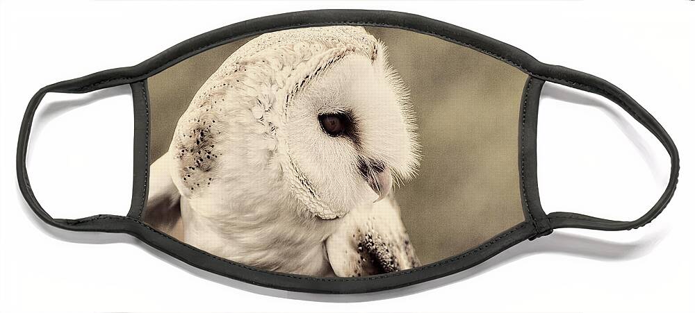 Barn Face Mask featuring the photograph Barn Owl by Carolyn Hutchins