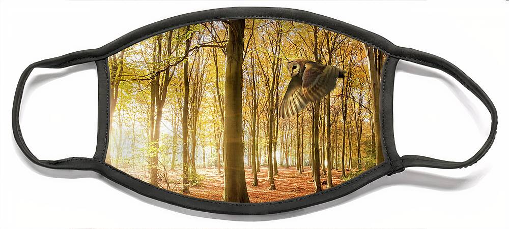 Autumn Face Mask featuring the photograph Barn owl flying in autumn woodland by Simon Bratt