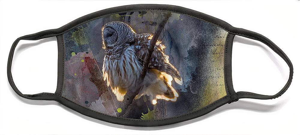 Barred Owl Face Mask featuring the photograph Barred Owl in a Floof after Preening, Backlit Rimmed in a Golden Sunset by Sandra Rust