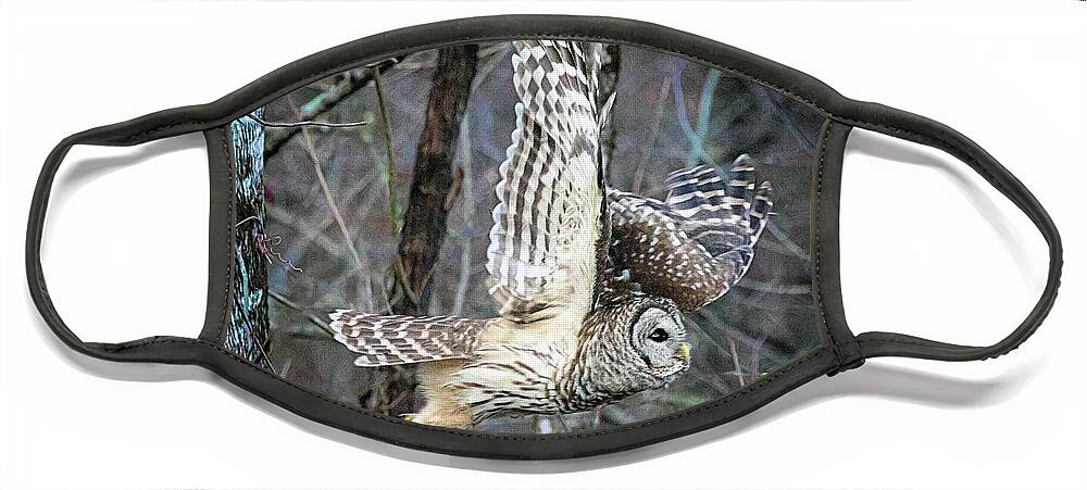 Barred Owl Face Mask featuring the photograph Barred Owl in Flight by Jaki Miller