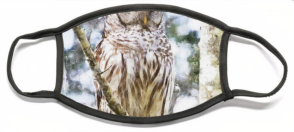 Barred Owl Face Mask featuring the photograph Barred Owl - Wild Raptor of the Forest by Peggy Collins