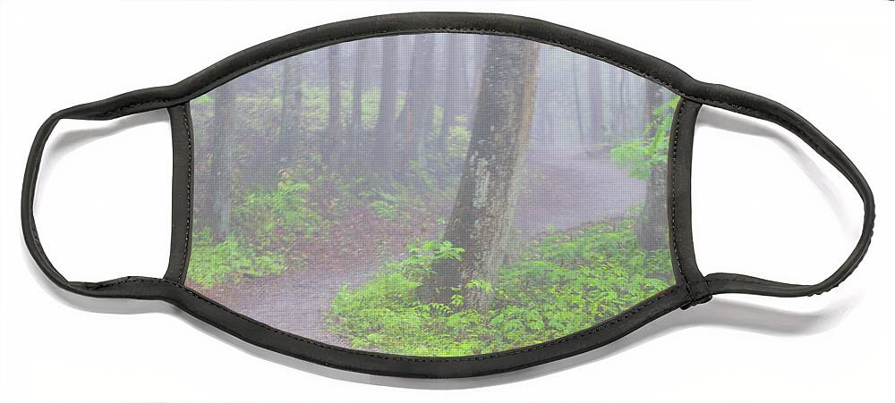 Art Prints Face Mask featuring the photograph Baskins Creek Trail by Nunweiler Photography