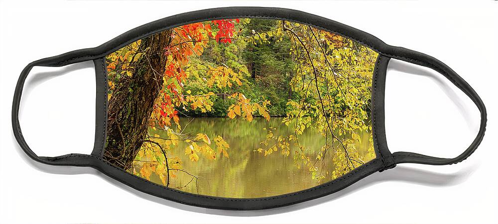 Bass Pond Face Mask featuring the photograph Bass Pond Biltmore Estate by Rob Hemphill