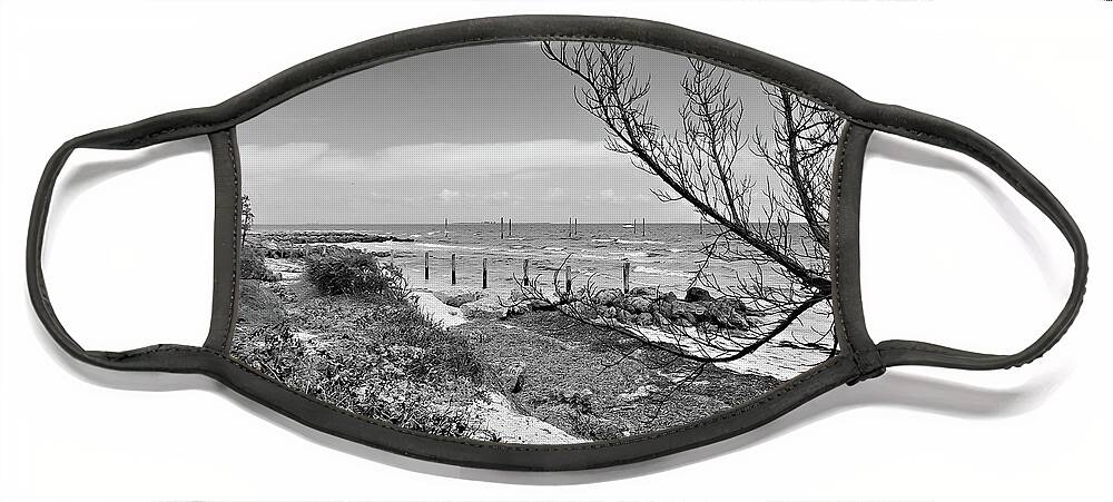Mighty Sight Studio Florida Landscape Face Mask featuring the digital art Bayside Anna Maria Island by Steve Sperry