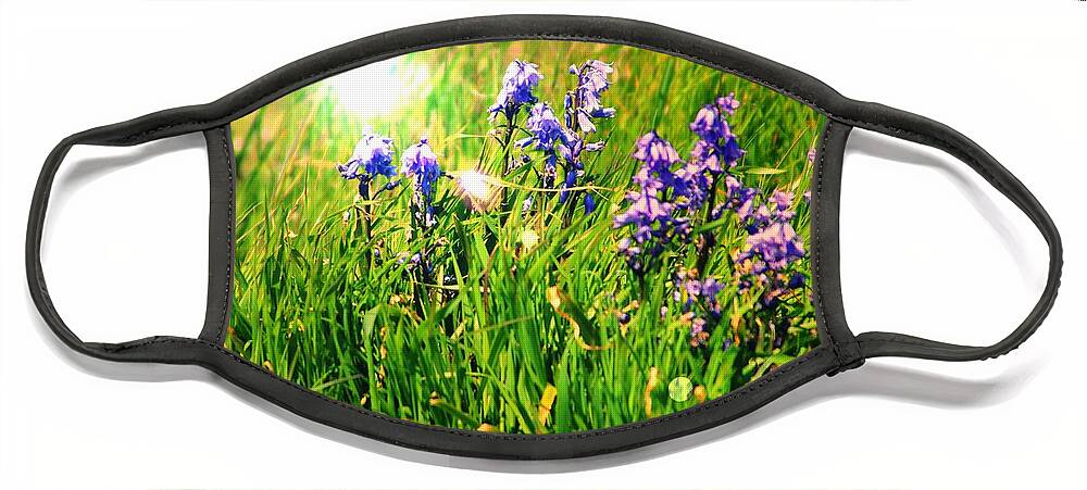 Bluebells Face Mask featuring the photograph Beams On Bluebells by Kimberly Furey