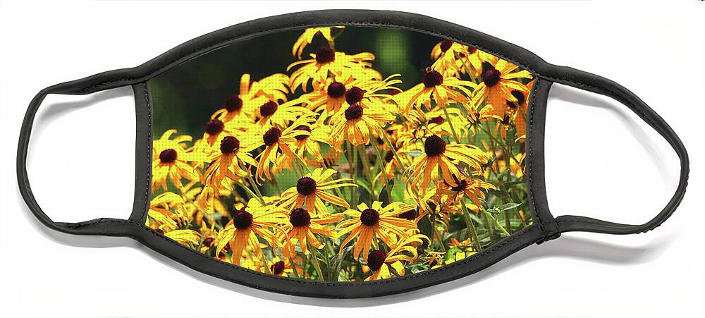 Flowers Face Mask featuring the photograph Beautiful Black-Eyed Susan Flowers by Trina Ansel
