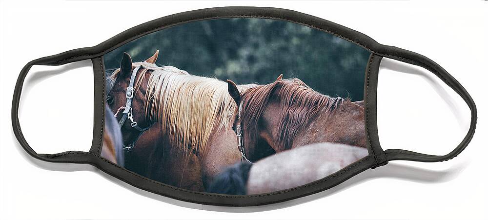 Horse Face Mask featuring the photograph Beautiful calm horses by Dimitar Hristov