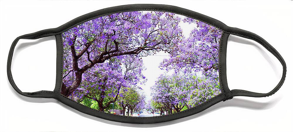 Jacaranda Face Mask featuring the photograph Beautiful purple flower Jacaranda tree lined street in full bloom. by Milleflore Images