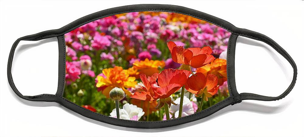 Flowers Face Mask featuring the photograph Beautiful Spring Flowers by Rich Cruse