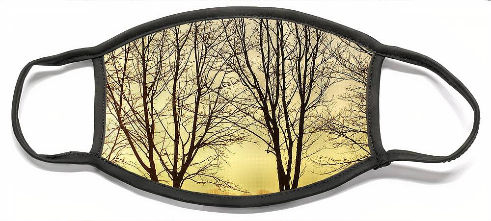Sunset Face Mask featuring the photograph Beautiful winter sunset though bare trees in Norfolk by Simon Bratt