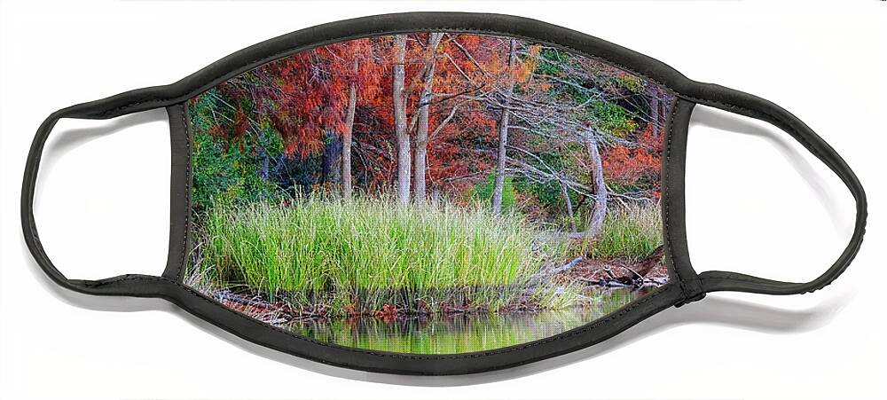Beavers Bend Fall Foliage Face Mask featuring the photograph Beavers Bend Fall Foliage by Robert Bellomy