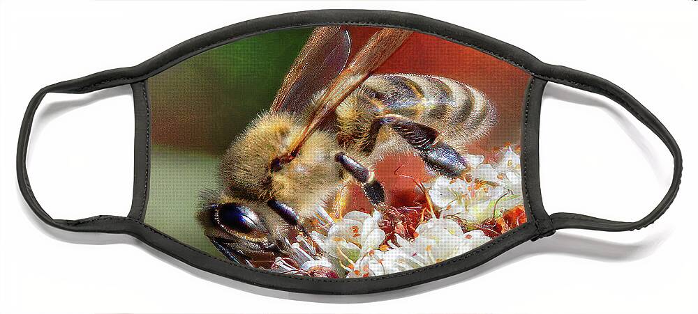 Honey Bee Flower Fine Art Print Face Mask featuring the photograph Bee Or Not To Bee by Jerry Cowart