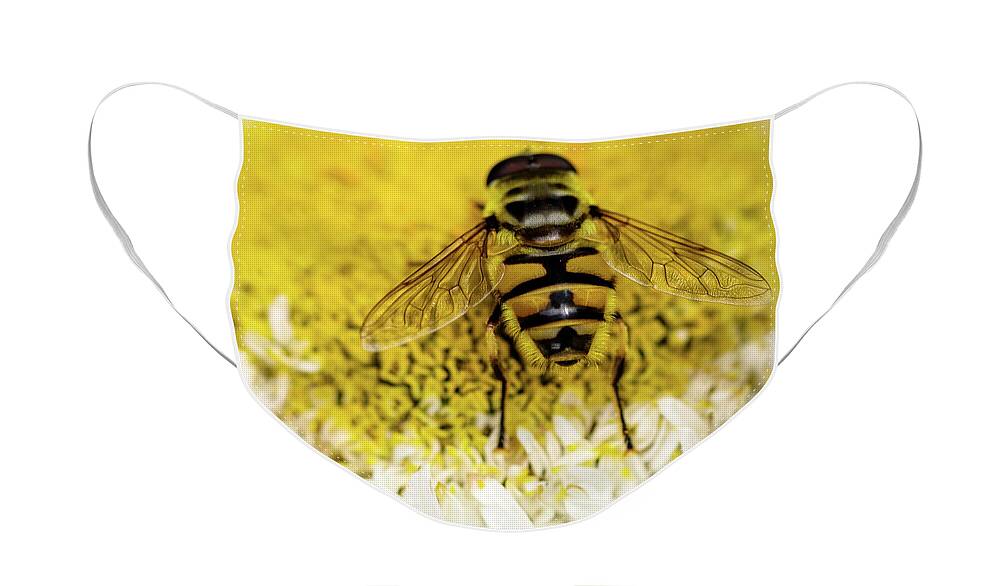 July2020 Face Mask featuring the photograph Bee Very Close by Rebecca Cozart