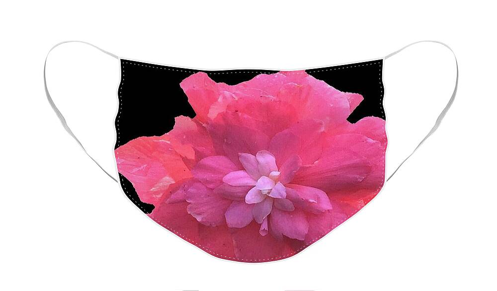Begonia Face Mask featuring the photograph Begonia on Black by Angela Davies